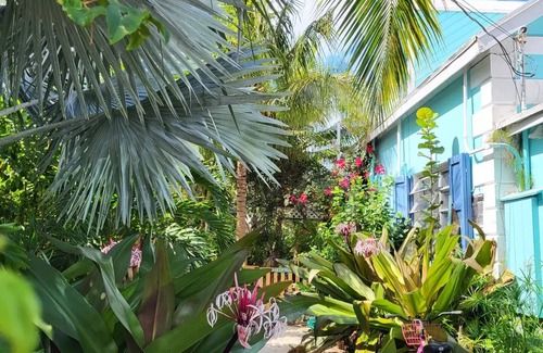 Spanish Wells Apartment | Quiet garden Retreat. Close to everything, especially the beach. Bikes, SUP's.