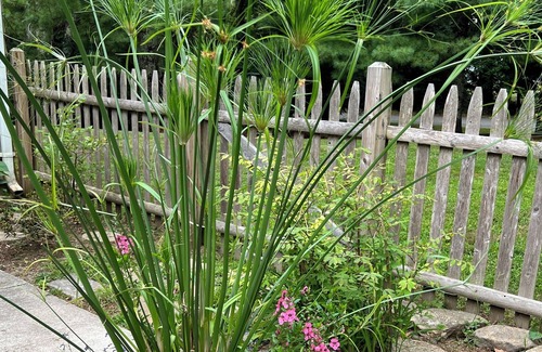 Wood River Junction House | Quiet haven near RI’s most beautiful beaches