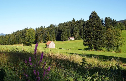 Alberschwende Apartment | Quiet holiday apartment, balcony, Lake Constance and Allgäu 30 minutes away by car