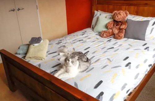 Paraparaumu Beach House | Quiet homestay, private room with own bathroom