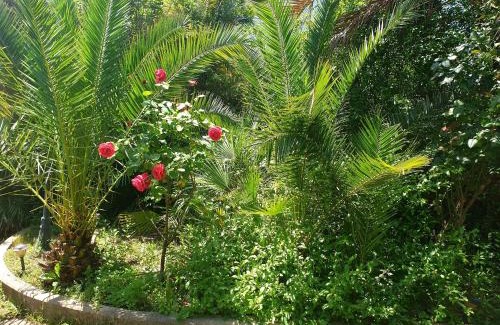 Trecase House | QUIET HOUSE GARDEN NAPLES-POMPEI-SORRENTO