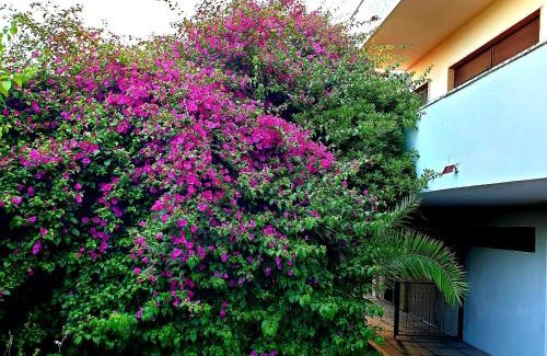 Trecase House | QUIET HOUSE GARDEN NAPLES-POMPEI-SORRENTO