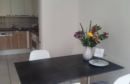 Kriens Apartment | Quiet, large garden apartment with free parking space