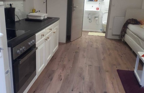 Bietigheim-Bissingen Apartment | Quiet living in a 2-room apartment