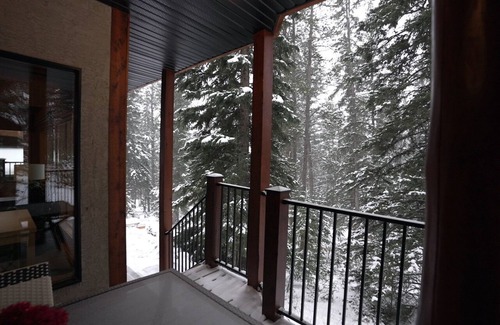 Eagle Terrace Apartment | Quiet Mountain Escape- stay local & meet a legend.