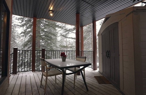 Eagle Terrace Apartment | Quiet Mountain Escape- stay local & meet a legend.