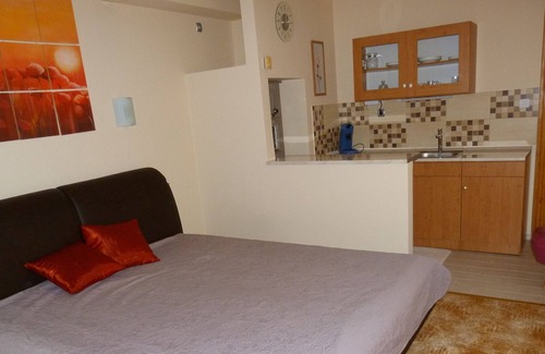 Debrecen Apartment | Quiet one-room apartment with terrace and own entrance