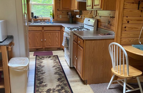 Greenville Junction Cottage | Quiet, Pet Friendly Cottage near Moosehead Lake!