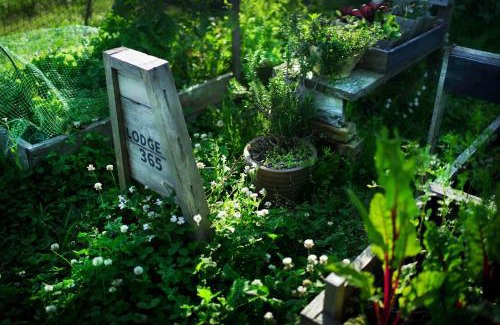 Katsuura House | Quiet rental house - Vacation STAY 25423v