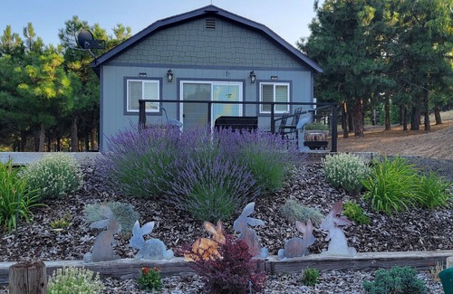 Chenoweth Apartment | Quiet Studio Guest house in a country setting minutes from town