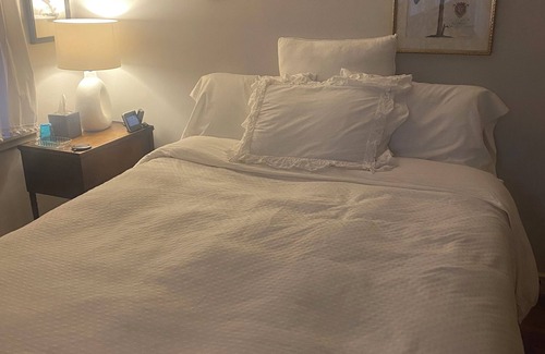 Robbinsdale Bed & Breakfast | Quiet & stylish 1 BR, bathroom, office for solo business traveler in shared home