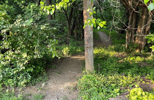 Bolivar Cottage | Quiet tiny home. Dog-friendly. Private fenced yard
