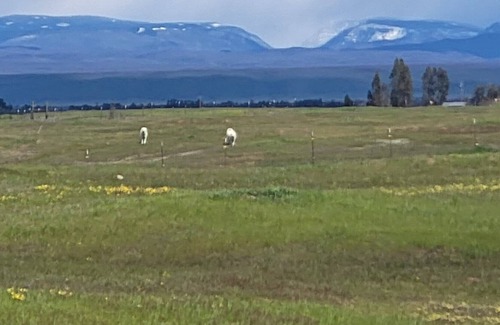 Flournoy Other | Quiet, vast,mountain views farm house where you and your family will enjoy