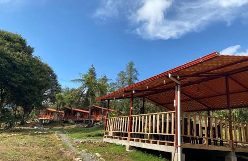Ecuadorian Amazon Cabin | Quindanna Lodge