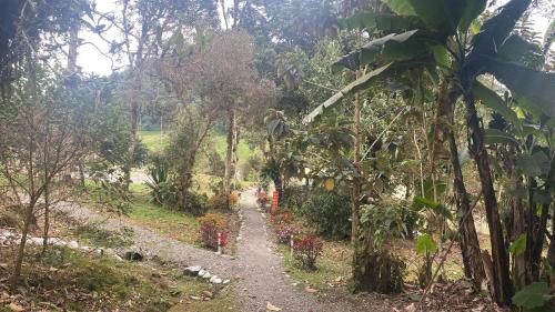 Ecuadorian Amazon Cabin | Quindanna Lodge