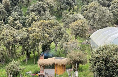 Papallacta Cabin | Quinde Ñan Lodge