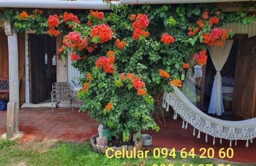 Rocha House | Quindio