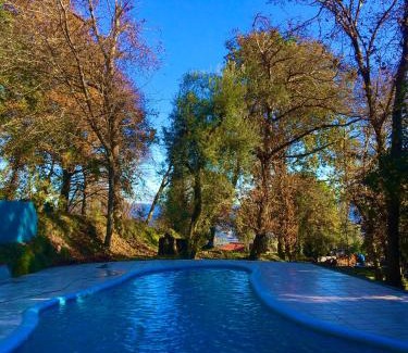 Vila Verde House | Quinta Abelha