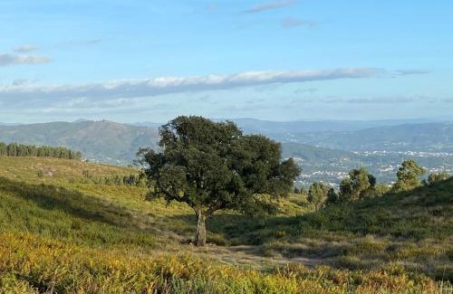 Vila Verde House | Quinta Abelha