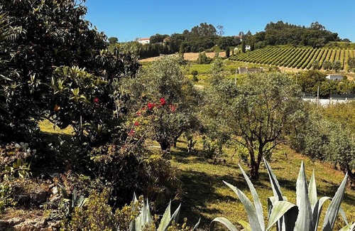 Évora House | Quinta da Boa Vida - Master Villa