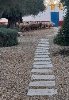Ferreira do Alentejo Hotel | Quinta da Chaminé
