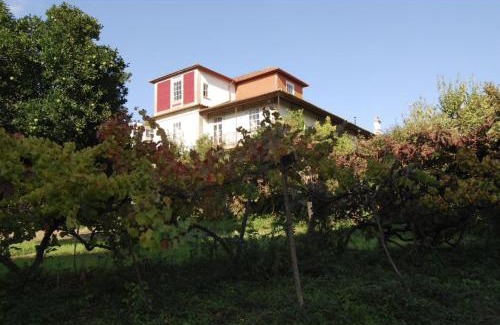 Amarante House | Quinta da Chentuada