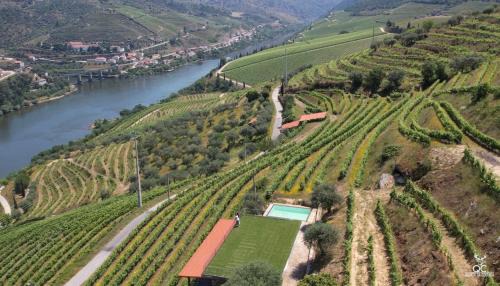 Cotas House | Quinta da Coitada - Alojamento Local