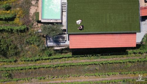 Cotas House | Quinta da Coitada - Alojamento Local
