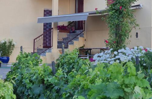 Tarouca House | Quinta da Gandarela