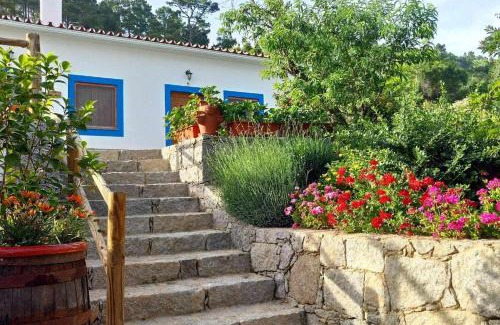 Barracao House | Quinta da Idalina