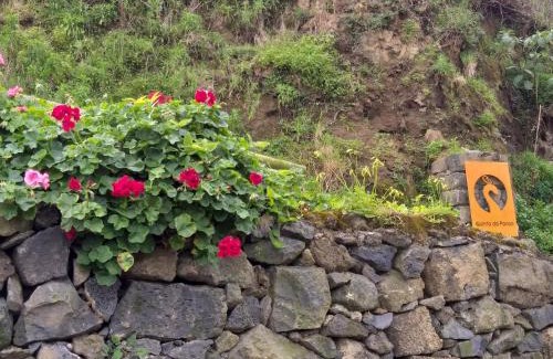 Vila Franca do Campo House | Quinta da Pavoa - Cottage House