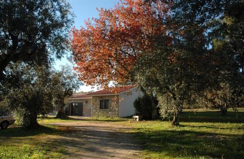 Santar House | Quinta da Pedra Mija