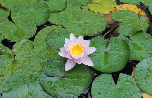 Viana do Castelo House | Quinta da Pedreira