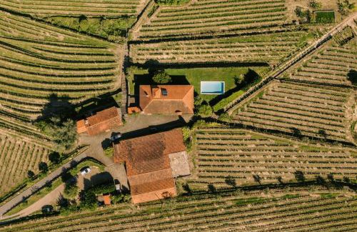 Lamego Bed & Breakfast | Quinta da Portela - Casa Visconde Arneiros - by MET