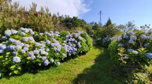 Rates Apartment | Quinta da Regada