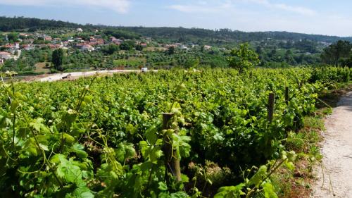 Ourem House | Quinta da Serrana