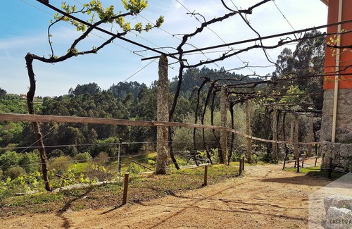 Bico Cottage | Quinta da Vinagra - house couple