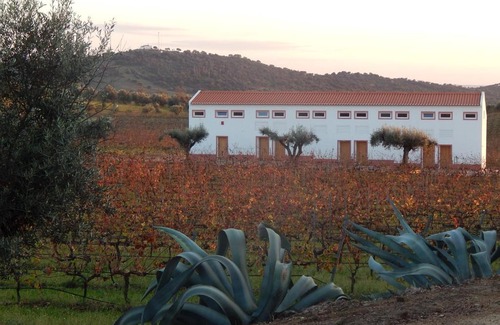 Vidigueira House | Quinta das Ratoeiras