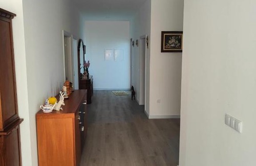 Felgueiras House | Quinta de Basto House