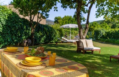 Peso da Regua House | Quinta de Villa Franca - Douro