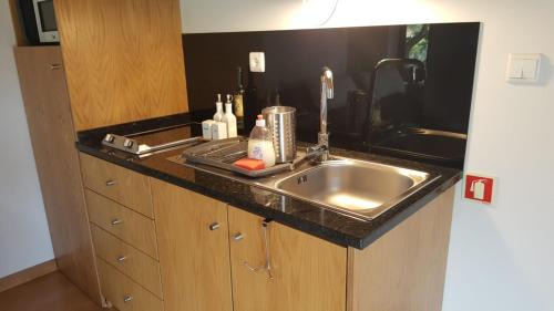 Lamego Apartment | Quinta Do Acipreste (Antiga Quinta Da Torre)