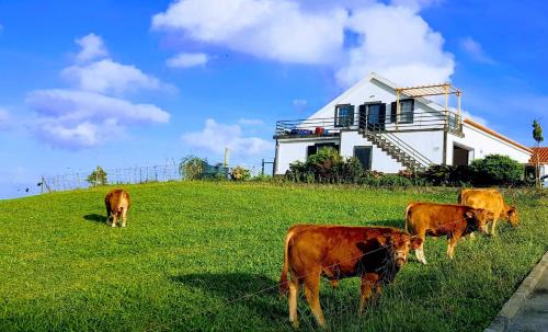 Lajes das Flores Apartment | Quinta do Calvário