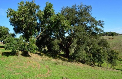 Luzianes Bed & Breakfast | Quinta Do Grilo