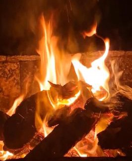 Rio Vermelho Norte House | Quinta do Moçambique