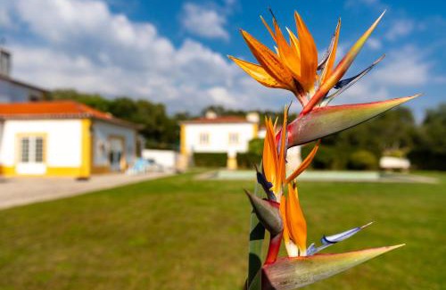 Santa Maria e Sao Miguel Bed & Breakfast | Quinta do Pé Descalço guesthouse Sintra - Relaxing countryside stay to discover heritage and coast