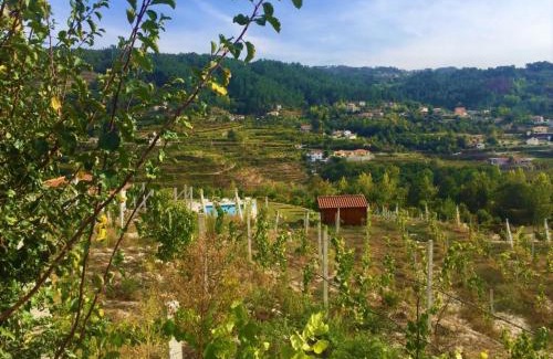 Fridao House | Quinta do Pêso