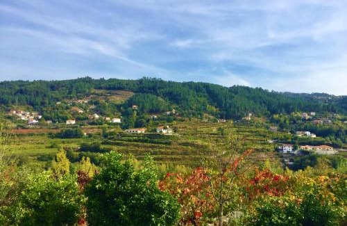 Fridao House | Quinta do Pêso