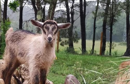 Valenca House | QUINTA DO VALE