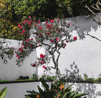 Velas House | Quinta dos Mistérios- Turismo de Habitação