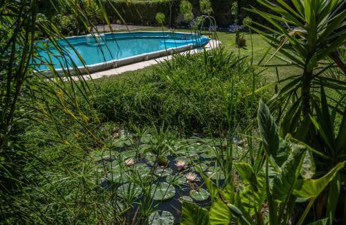 Salvaterra de Magos House | Quinta dos Pinheiros